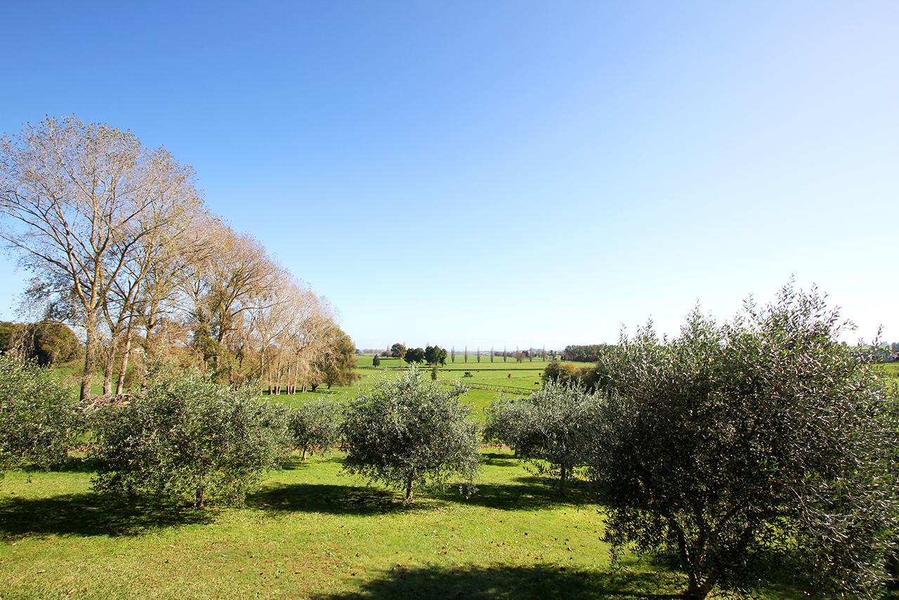 Ohaupo Olives Bed and Breakfast Exterior foto